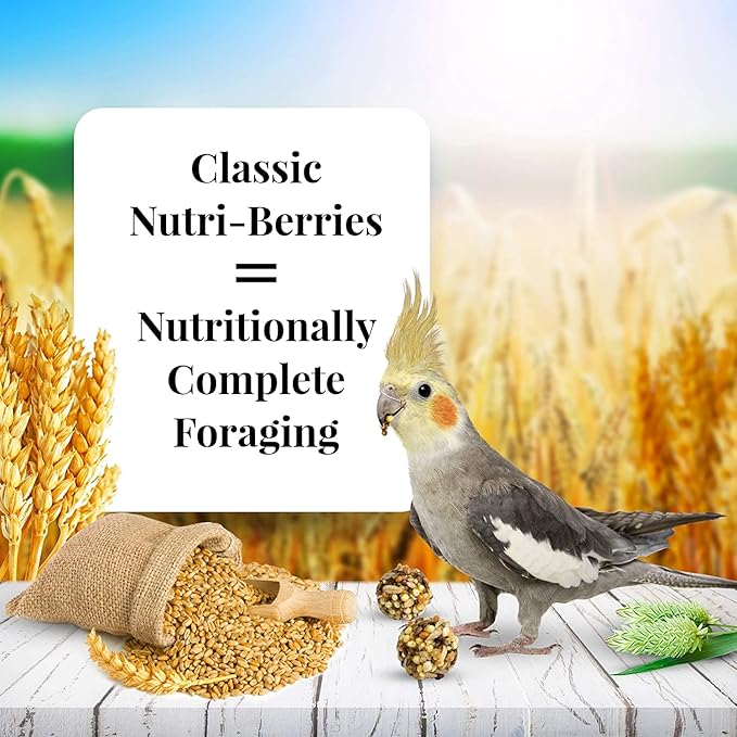 LAFEBER'S Nutriberries Original Cockatiel 2 pk 10 oz