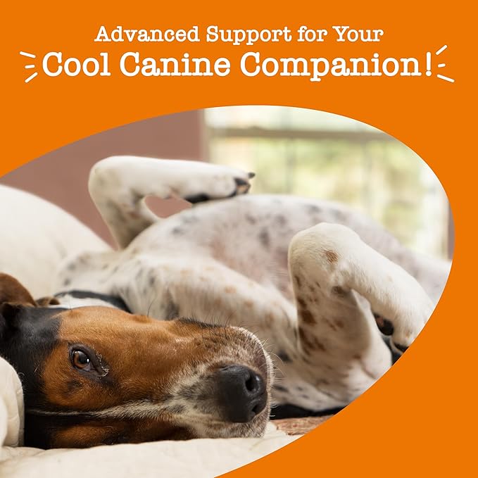 Zesty Paws Calming Chews for Dogs - for Everyday Stress, Relaxation, Composure, and Separation Bacon 90 Count