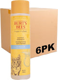 Burt's Bees for Pets Tearless Kitten Shampoo with Buttermilk and Honey, Gentle Cat Shampoo for Itchy Skin and Sensitive Coats, Easy Rinse Low Lather Formula, 99.3% Natural Origin, 10 Fl Oz - 6 Pack
