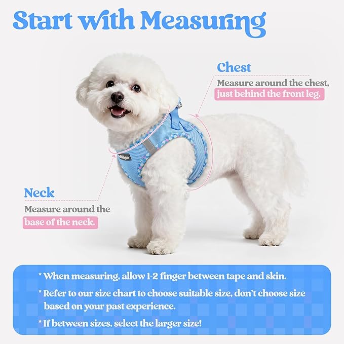 rabbitgoo Dog Harness Small Sized and Leash Set, Step in Soft Light Puppy Vest, Breathable Mesh Pet Harness, Reflective for Safe Easy Walking, Blue & Plaid Trim S