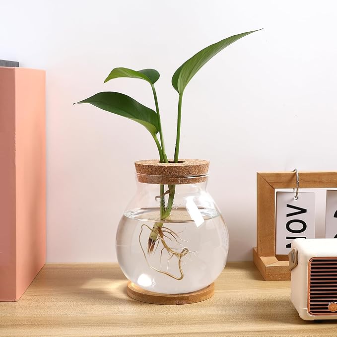 Milisten Desktop Fish Tank Small Glass Bowl with Wood Lid and Bamboo Cushion Hydroponic Plant Terrarium Betta Fish Aquarium for Home Office Decoration