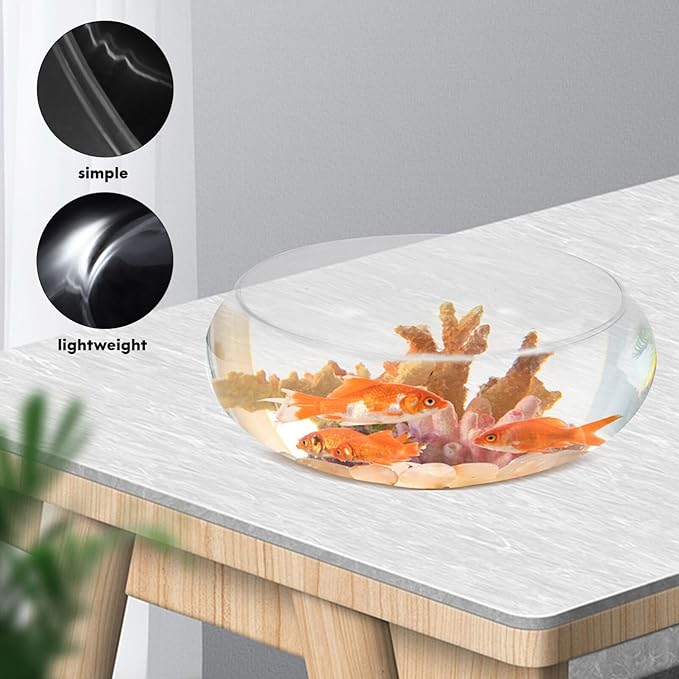SUPVOX Glass Daffodil Pot 9.84 Inch Clear Round Fishbowl Planter Hydroponic Aquarium Bowl for Succulent Plants Home Garden Decoration