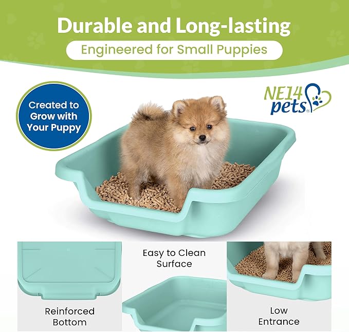 Dog Litter Box, Green Color, Small Size, Durable & Pet Safe Puppy Litter Box, Indoor Open Top Entry Dog Litter Pan, Comfortable for Dogs, Great for Small Dogs up to 6 lbs (2 Pack)