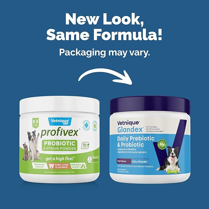 Vetnique Glandex Daily Probiotics for Dogs with Prebiotics to Support Gut Health with Fiber and Digestive Enzymes, Dog Probiotic Powder (8.5oz Powder, Pork Powder)