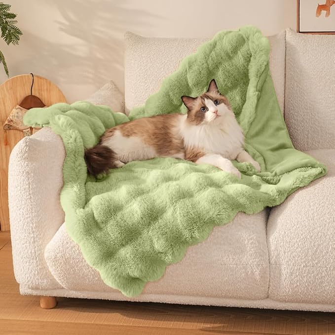 Self-Warming Cat Blanket for Indoor Cats & Small Dogs, Dual-Side Sherpa Plush Throw, Anti-Static Shared Couch Mat for Crate & Travel, Machine Washable No Shrink, 28x22 Inch Green