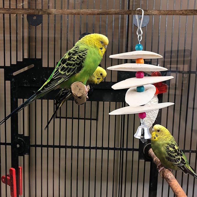 Scicalife Extra Large Cuttlebone Toy for Birds Calcium Supplement Parrot Cuddle Bone Chew Toy Natural Beak Molar for Macaw and Large Birds 6.7X2.75X1.77 Inches
