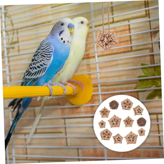 12pcs Parrot Beak Fruit Chewing Treats Bird Toys for Parrots Foraging Toy for Conure