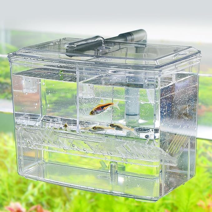 External Breeding Tanks for Aquarium Small Fish Isolation Hatchery Box for Fry Clear Spawning Box Breeding