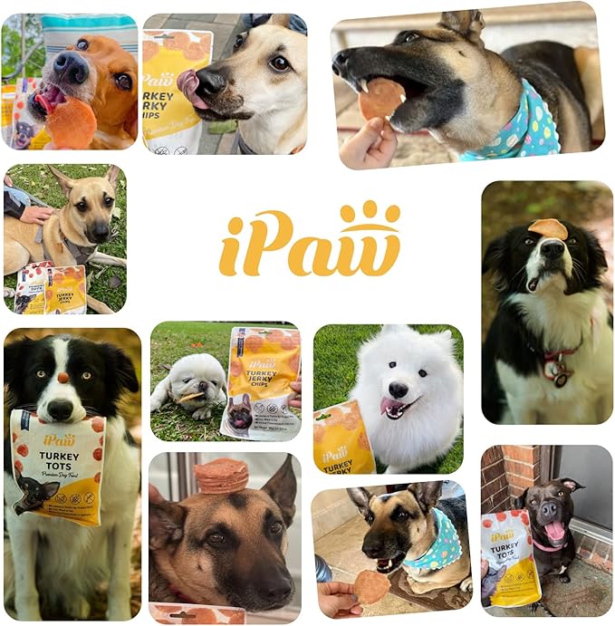 iPaw 5 Stock-Up Combo Turkey Tots Dog Treats for Puppy Training, All Natural Human Grade Dog Treat, US Sourced Raw Material, Hypoallergenic, Easy to Digest (Turkey Tots), 5 Packs