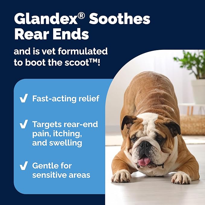 Vetnique Glandex Medicated Dog Butt Wipes or Spray for Dog Scooting - Topical Anti Itch Skin Relief for Soothing Inflamed Anal Glands in Dogs & Cats - Fast Acting Formula (4oz Spray)