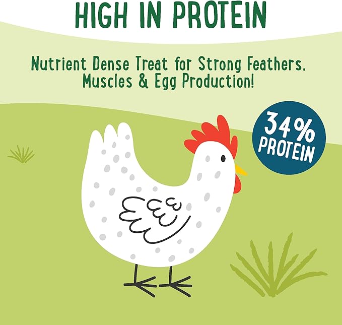 Manna Pro Farmhouse Favorites Feather Flair Poultry Treat, High Protein Chicken Treat with Methionine, Biotin & Thiamine, Supports Strong, Vibrant Feathers, for Chickens, Ducks, Turkeys & More, 2 lbs