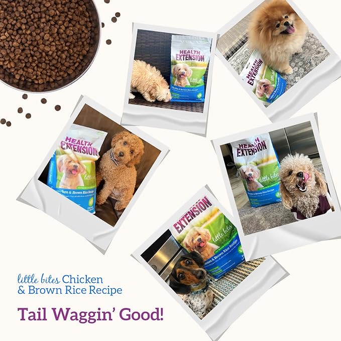 Health Extension Little Bites Dry Dog Food for Toy and Small Breeds, Chicken & Brown Rice Recipe, with Probiotics & Superfoods for Digestion & Coat Health, 1 lb Bag