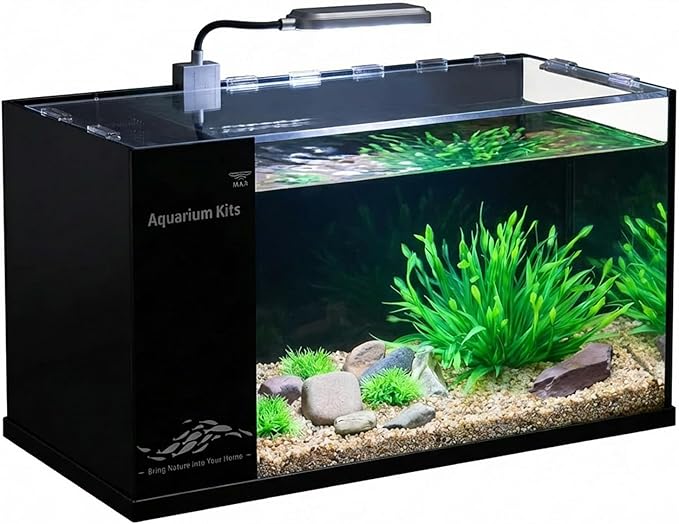 Fish Tank Kit,3 Gallon Small Aquarium,Ultra-Clear Nano Aquarium,Betta Fish Tank,Suitable for Small Fish Tank,Aquarium Starter kit,Desktop Fish Tank (Black Background)