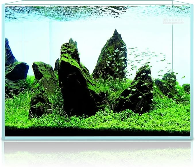 LYPHARD AQUARIUMS 9.5 Gallon Rimless Aquarium, Ultra Clear Glass Low Iron Small Fish Tank for Betta, L15.7×W11.8×H11.8 Inches Thickness 5mm with EVA Foam Mat Included