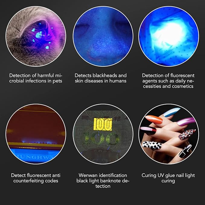 Pilipane Black Light,Black Light Flashlight 21 LED 395nmFlashlight, MiniFlashlight for Dog Cat Urine, Dry Dirt, Bed gogga Detector, Odor elim inator
