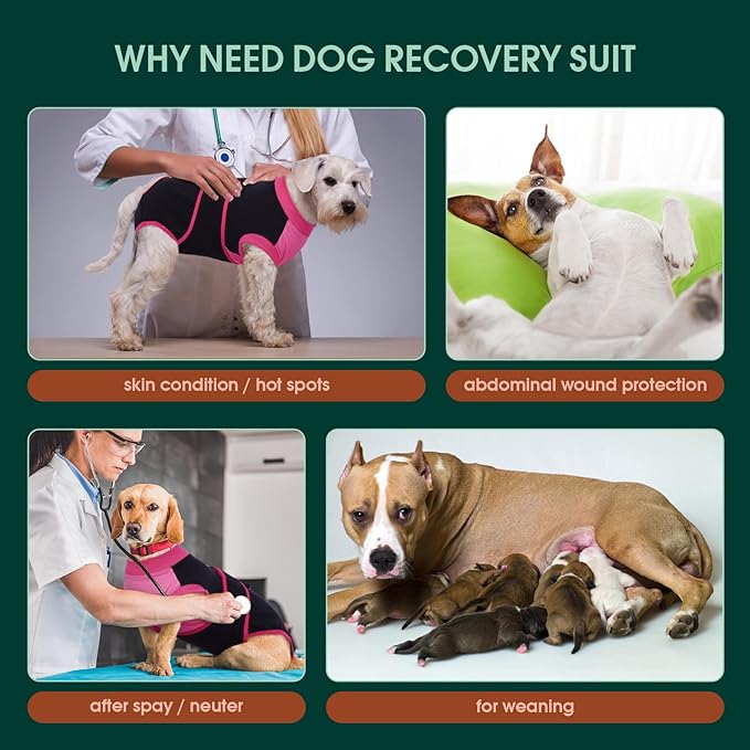 Kuoser Recovery Suit for Dogs After Surgery, Soft Dog Surgery Suit Female Male, Breathable Pet Surgical Recovery Shirt, Anti Licking Dog Onesie for Abdominal Wounds Cone Alternatives, Black XS
