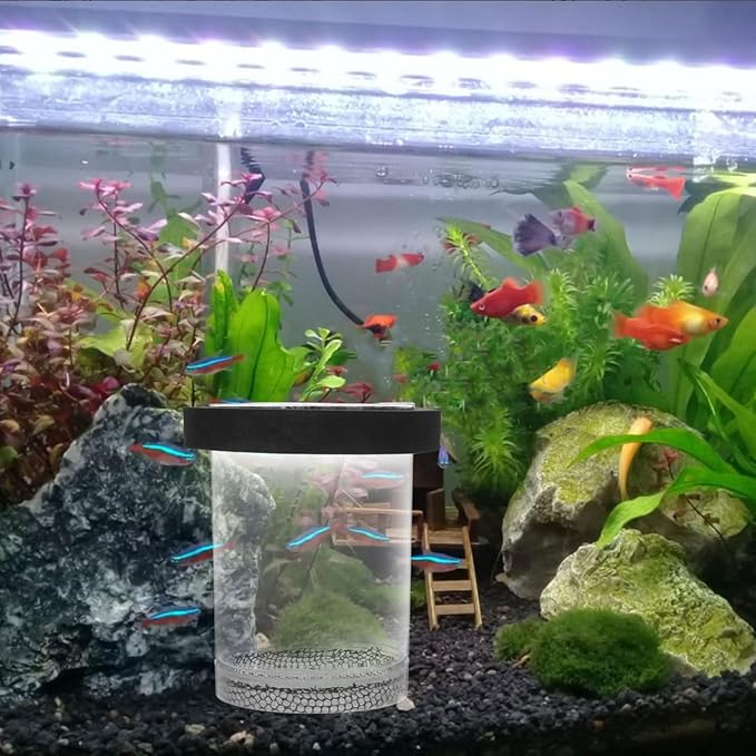 Floating Fish Breeder Box with Transparent Cover Aquarium Breeding Container for Guppies Protects Newborn Fry from Predators Improves Survival Rate for Fish Tanks