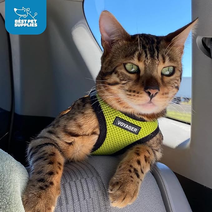 Best Pet Supplies Voyager Step-in Air Harness - All Weather Mesh, Reflective, No Pull Harness for Dogs, Cats - Secure with Hook & Loop Fastener, Buckle, Double D-Rings - Lime Green/Black Trim, XXXS