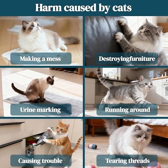 O Cat Deterrent Spray for Indoor & Outdoor Use – Natural No-Alcohol Cat Repellent to Prevent Scratching on Furniture, Sofas, Rugs, Curtains & Plants – Safe Training Spray for Cats & Kittens.
