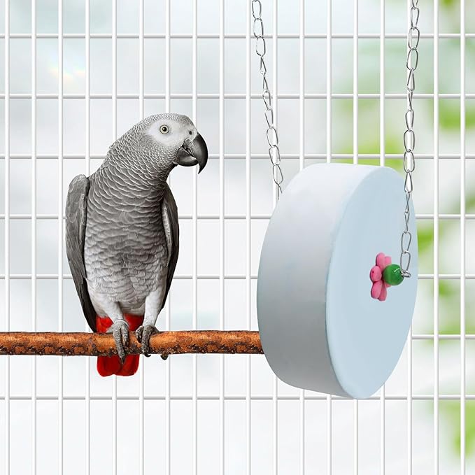 Bird Beak Grinding Stone – Large Cylinder Parrot Chew Toy with Metal Hanging Chain – Cage Accessory for Macaws, African Greys, Cockatiels & Medium to Large Birds Blue