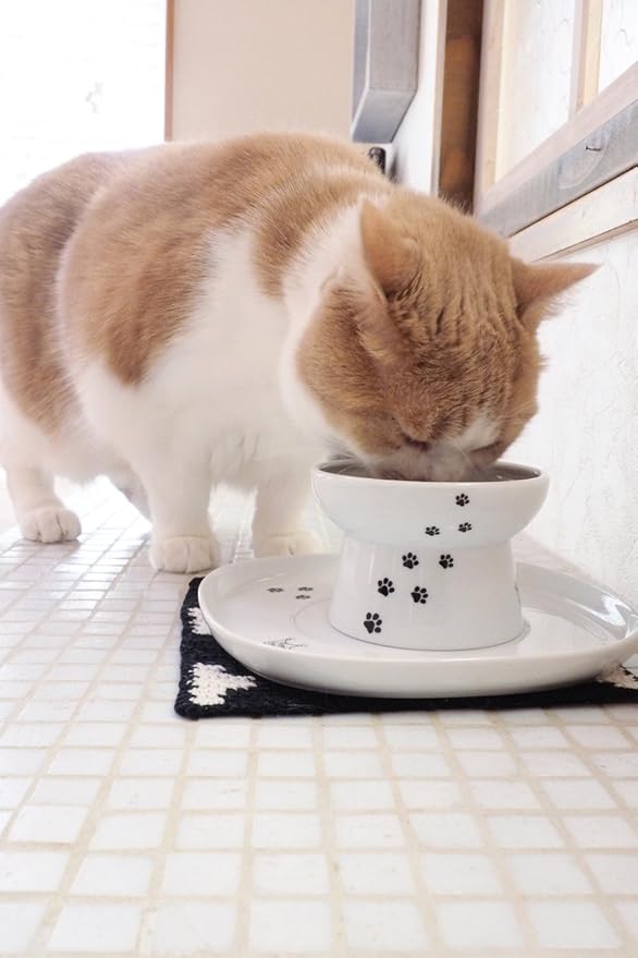 Necoichi Raised Cat Bowl Dining Tray (White, Single)