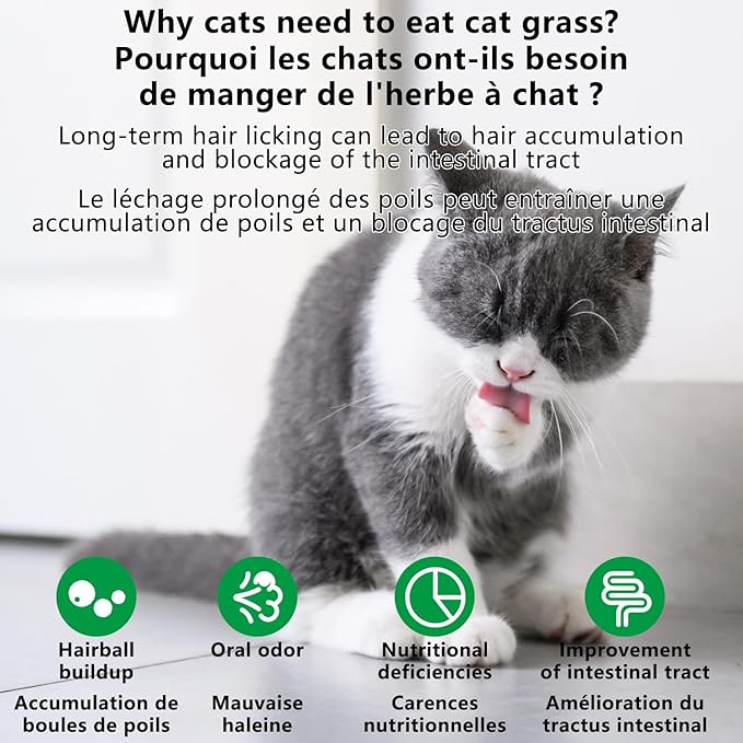 20Pcs Cat Grass Stick Snacks (100g), Freeze Dried Snacks, Catnip, for Cat Dental Care and Hairball Removal, Pampering Gastrointestinal System