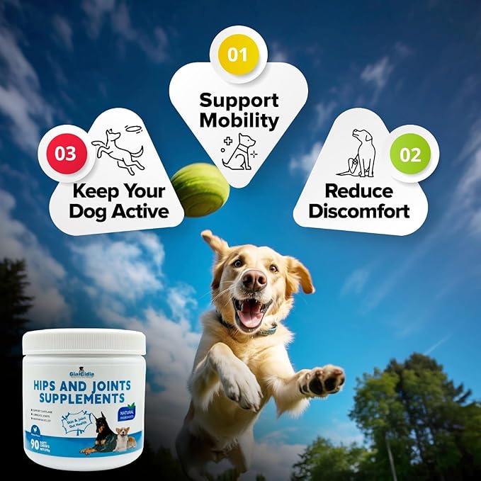 Dog Hip and Joint Supplement Soft Chews – Supports Mobility, Flexibility & Cartilage Health – Helps Relieve Joint Stiffness & Arthritis – Daily Joint Support for Dogs of All Breeds