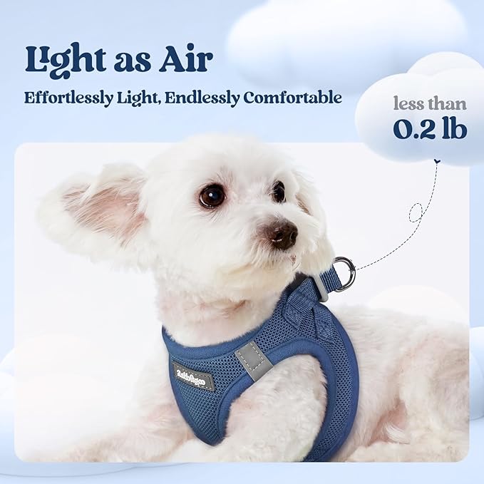 rabbitgoo Dog Harness Small Sized and Leash Set, Step in Soft Light Puppy Vest, Breathable Mesh Pet Harness, Reflective for Outdoor Safe Walking, Navy Blue XXXS