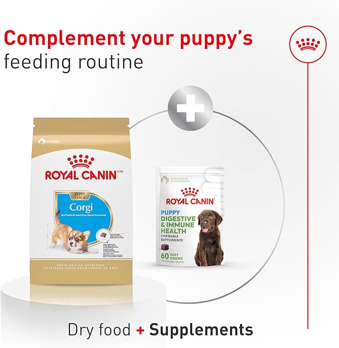 Royal Canin Corgi Puppy Dry Dog Food, Kibble for Corgis 2 to 12 Months, Supports Digestion and Bone and Joint Support 2.5 lb Bag