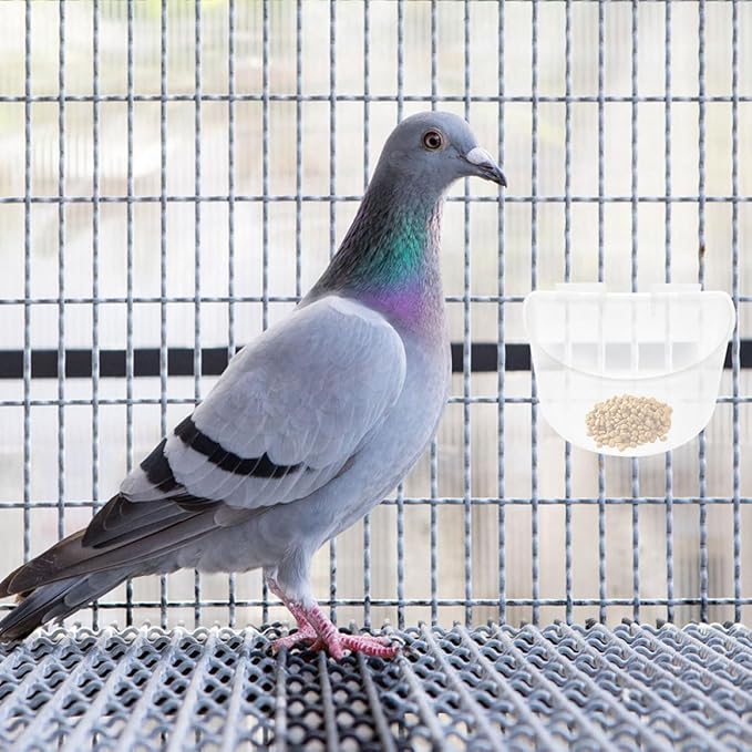 PRETYZOOM 6pcs Large Bird Cage Feeding Bowls Hanging Water Cups for Pigeon Cage Feeder Poultry Feeder Feeding Watering Supplies