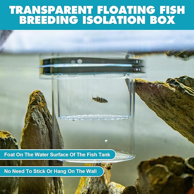 Floating Fish Breeding Box, Acrylic Fish Isolation Box for Aquarium Tank, Hatchery Incubator Breeder for Betta Shrimp Clownfish Guppy (Large)