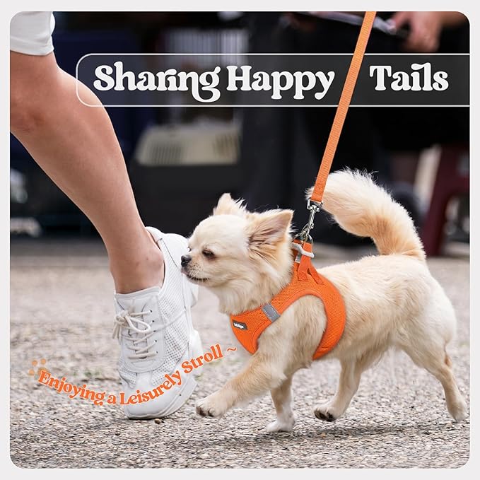 rabbitgoo Dog Harness Small Sized and Leash Set, Step in Soft Light Puppy Vest, Breathable Mesh Pet Harness, Reflective for Safe Easy Walking, Orange XXXS