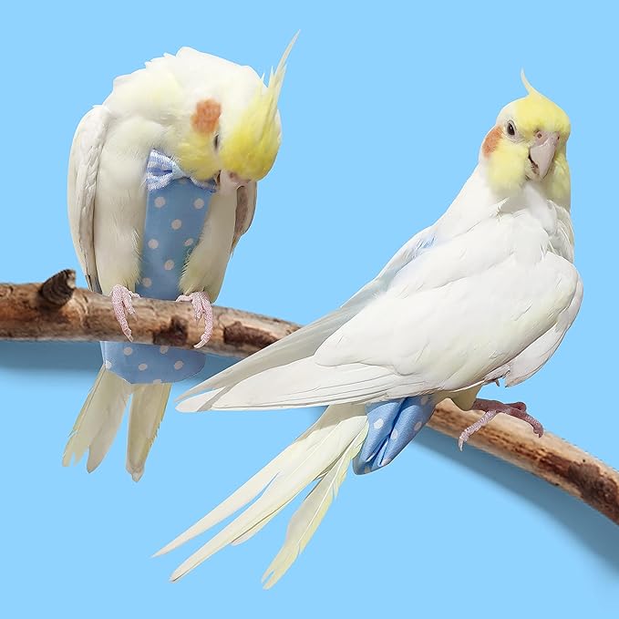 VANFAVORI Bird Diaper Harness Flight Suit Clothes with 80 Inch Flying Leash Rope for Parrots Conure Cockatiel Pet Birds Weight 80-105 Grams, M Size Yellow, Including A Cotton Pad