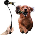 Littlearth NFL Pet Ball Launcher