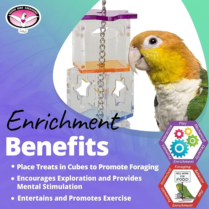 Super Bird Creations SB1206 Foraging Cubes Bird Toy - Interactive Bird Toy for Foraging Fun & Mental Stimulation - Parrots Ringnecks Medium Conures - Fillable with Treats - Ideal for Medium Bird Size