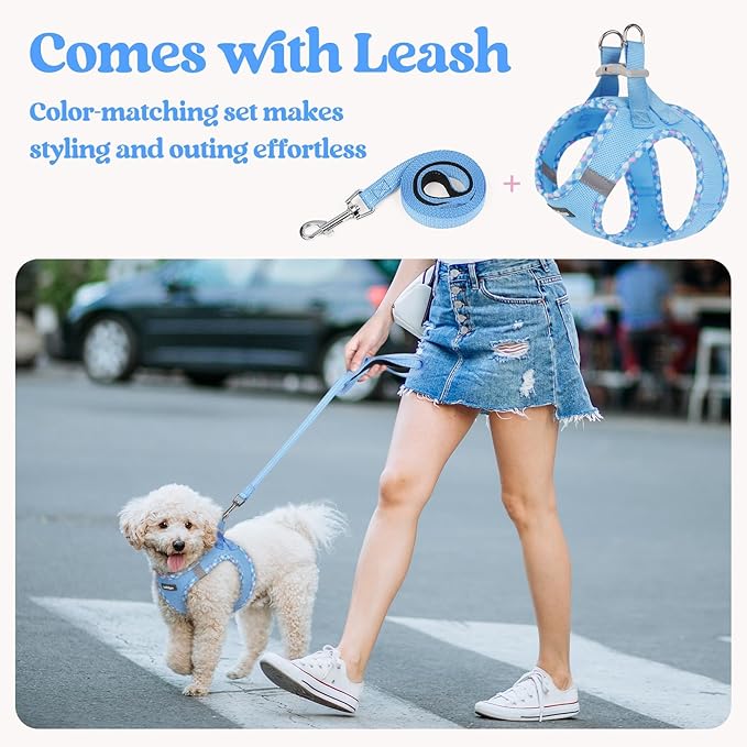 rabbitgoo Dog Harness Small Sized and Leash Set, Step in Soft Light Puppy Vest, Breathable Mesh Pet Harness, Reflective for Safe Easy Walking, Blue & Plaid Trim M