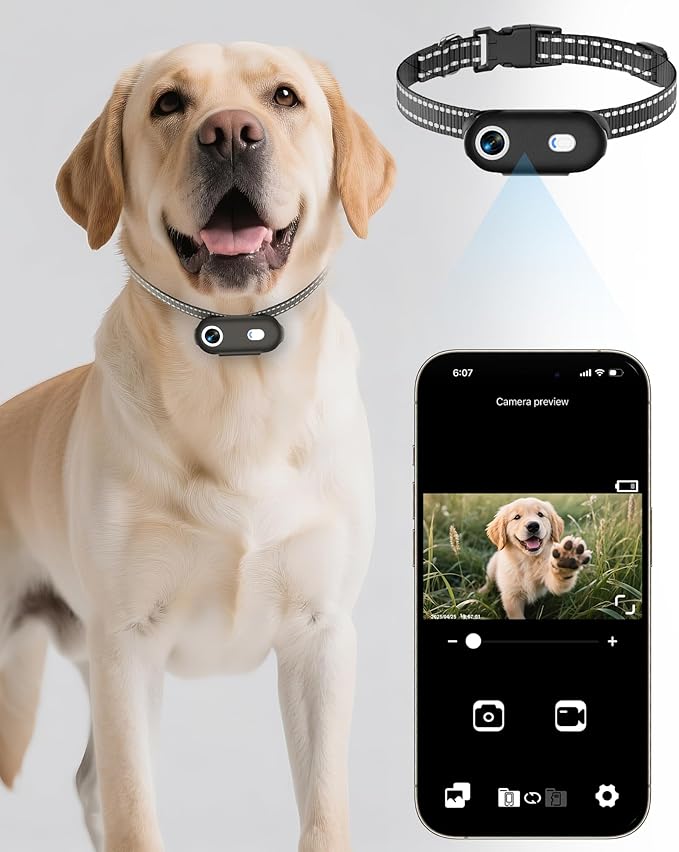 Dog Camera Collar with Phone APP, 1080P HD Video Recording Pet Camera Collar – Cordless Lightweight Rechargeable Pet POV Cam for Curious Cats & Adventurous Pups-M-Size Dog Action Cameras