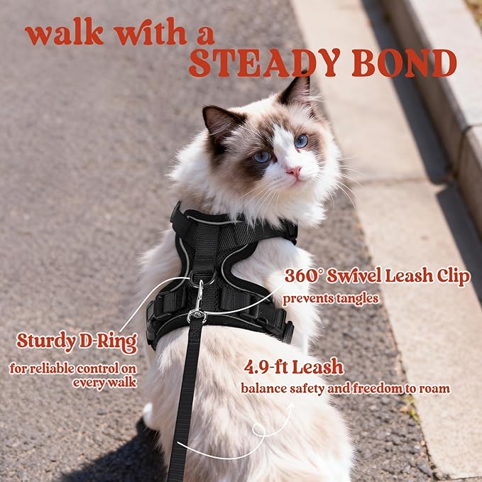 rabbitgoo Cat Harness and Leash for Walking, Escape Proof Soft Adjustable Vest Harnesses for Cats, Easy Control Breathable Reflective Strips Jacket, Black, M