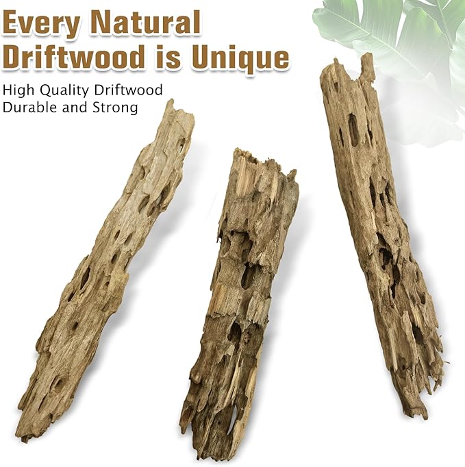 PINVNBY Natural Driftwood for Aquarium Large Reptile Terrarium Decor Decorations Assorted Branches Dearded Dragon Tank Accessories (Slim Style: 7.87-11.8 inches/3 Pack)