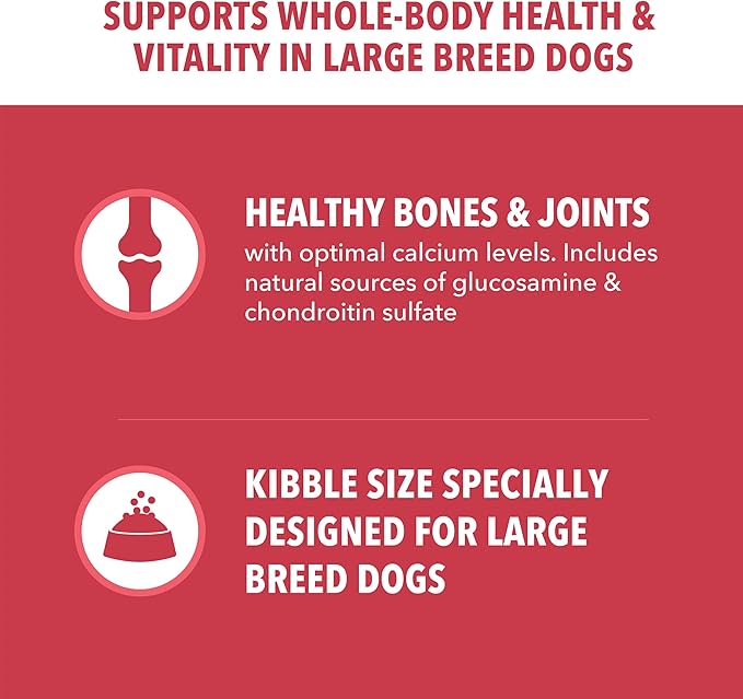 IAMS Proactive Health Large Breed Adult Dry Dog Food Lamb & Rice Recipe, 40 lb. Bag