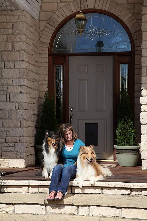 PetSafe Panel Pet Door Insert - Easy Installation - Dual Flap Design for Weather Protection - Paintable Frame for Custom Look