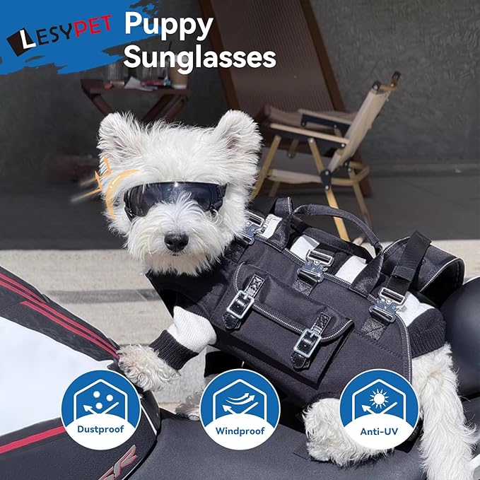LESYPET Dog Sunglasses for Small Breed, UV Wind Dust Protection Dog Goggles for Pet Outdoor Driving Riding, Pet Glasses Eye Wear with Adjustable Strap, Silver