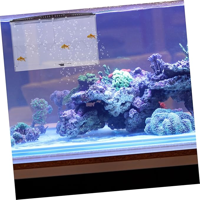 Multi-use Fish Isolation Box for Aquarium Breeding Box Feeding Slot Drainage Outlet