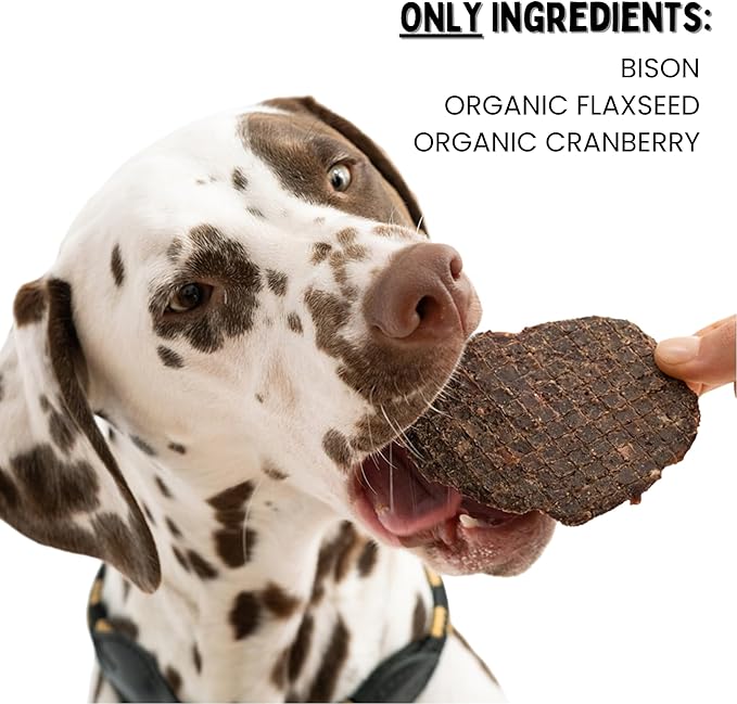Winnie Lou Bison Burger Jerky Dog Treats – Limited Ingredient, Human Grade, Training Treats, USA Made, High Protein, Chews, Hypoallergenic, Sensative Stomach (2 Pack)