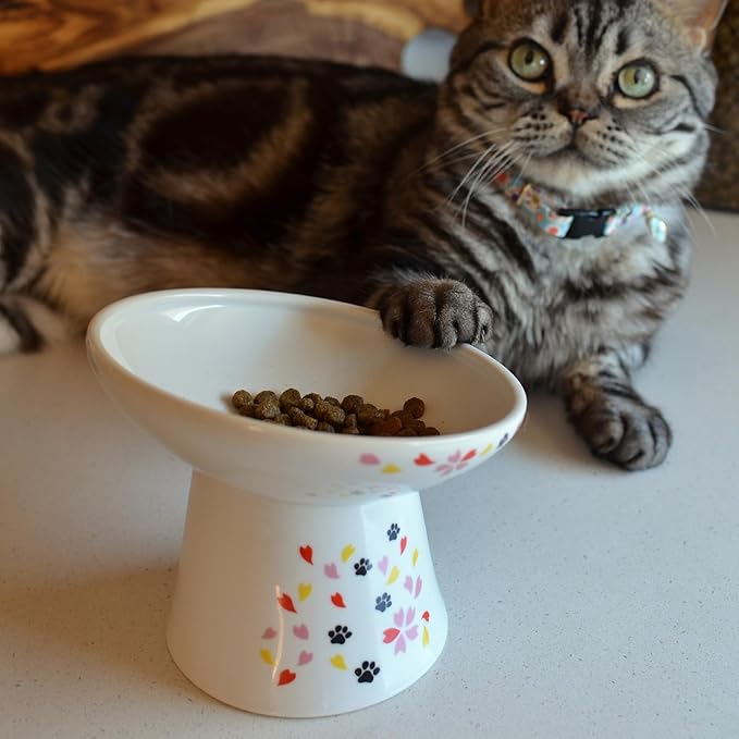 Necoichi Raised Cat Food Bowl – Ceramic Elevated 15° Tilted Bowl for Whisker Fatigue, Dishwasher & Microwave Safe, Non-Slip Anti-Vomiting Ergonomic Design (Sakura Floral, Extra Wide, 1.5-Cup Capacity)