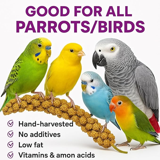 Birds LOVE French Kissed Spray Millet for Birds - Parakeets, Cockatiels, Lovebirds, Finches, Budgies, Canaries, Cockatoos - Natural & Healthy Bird Millet - Parakeet Food & Treats for all Parrots 25lbs