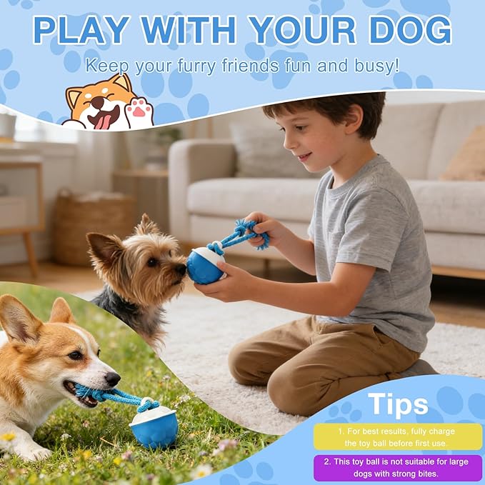 Interactive Dog Toys, 2026 Upgraded Motion Activated Automatic Rolling Ball Toys, USB Rechargeable for Small/Medium/Large Dogs Balls (Blue)
