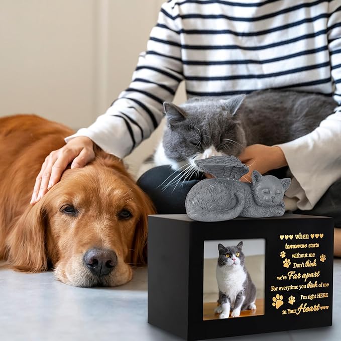 Pet Urns for Ashes, Black Wooden Cat Urns for Ashes with Cat Angel, Cat Memorial Keepsake Memory Box with Photo Frame, Loss Pet Sympathy Remembrance Gift (Medium - Memory)