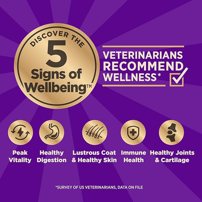 Wellness CORE Healthy Weight Adult Dry Dog Food, Grain Free Kibble, Natural, High Protein, Turkey and Chicken Recipe, 12 lb Bag