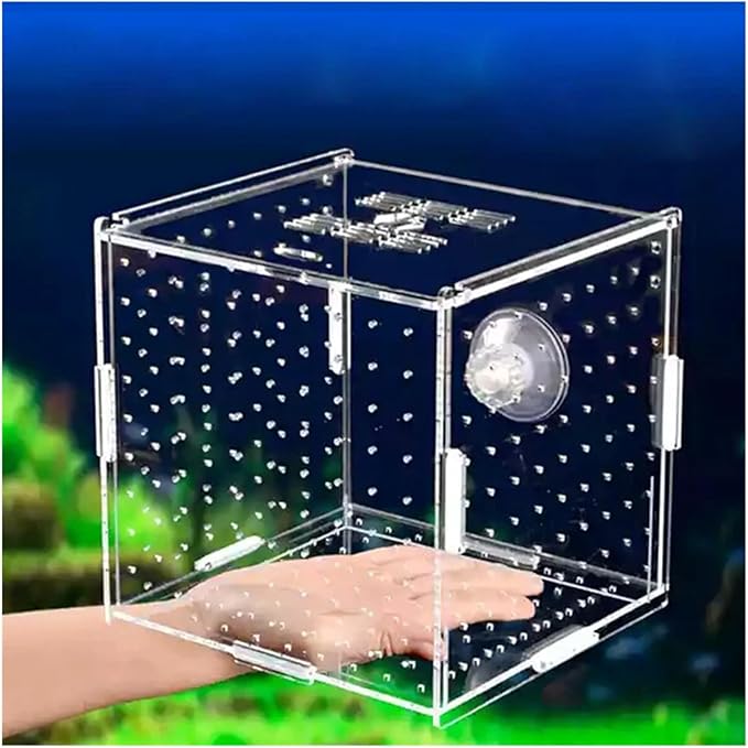 Transparent Acrylic Aquarium Isolation Box - Single & Double Grid Fry Breeding Tank for Fish Hatcheries(Sucker)